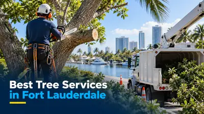 5 Best Tree Services in Fort Lauderdale (2026)