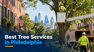 4 Best Tree Services in Philadelphia (2026)
