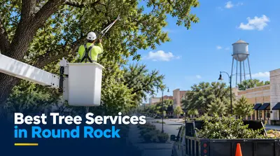 5 Best Tree Services in Round Rock (2026)
