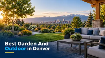 Garden And Outdoor