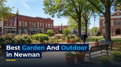 Garden And Outdoor