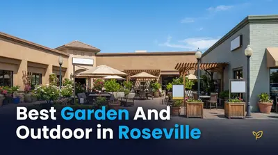 Garden And Outdoor