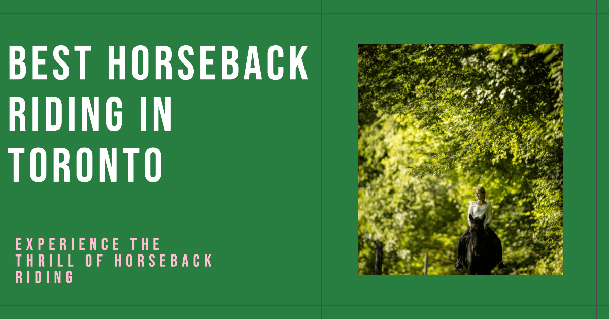 Best Horseback Riding In Toronto (2026)