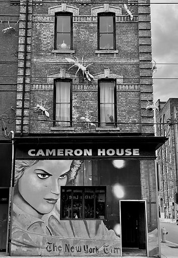The Cameron House logo