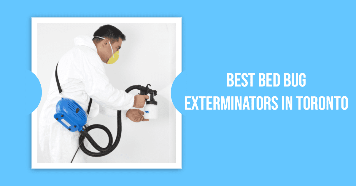 Best Bed Bug Exterminators In Toronto (2026)