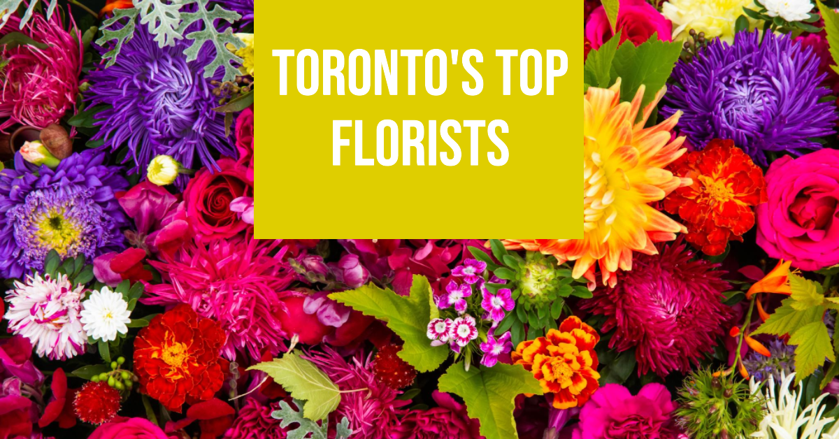 Best Florists In Toronto (2026)