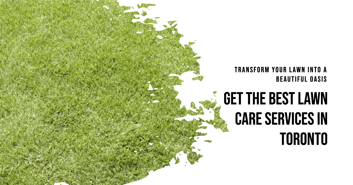 Best Lawn Care Services In Toronto (2026)