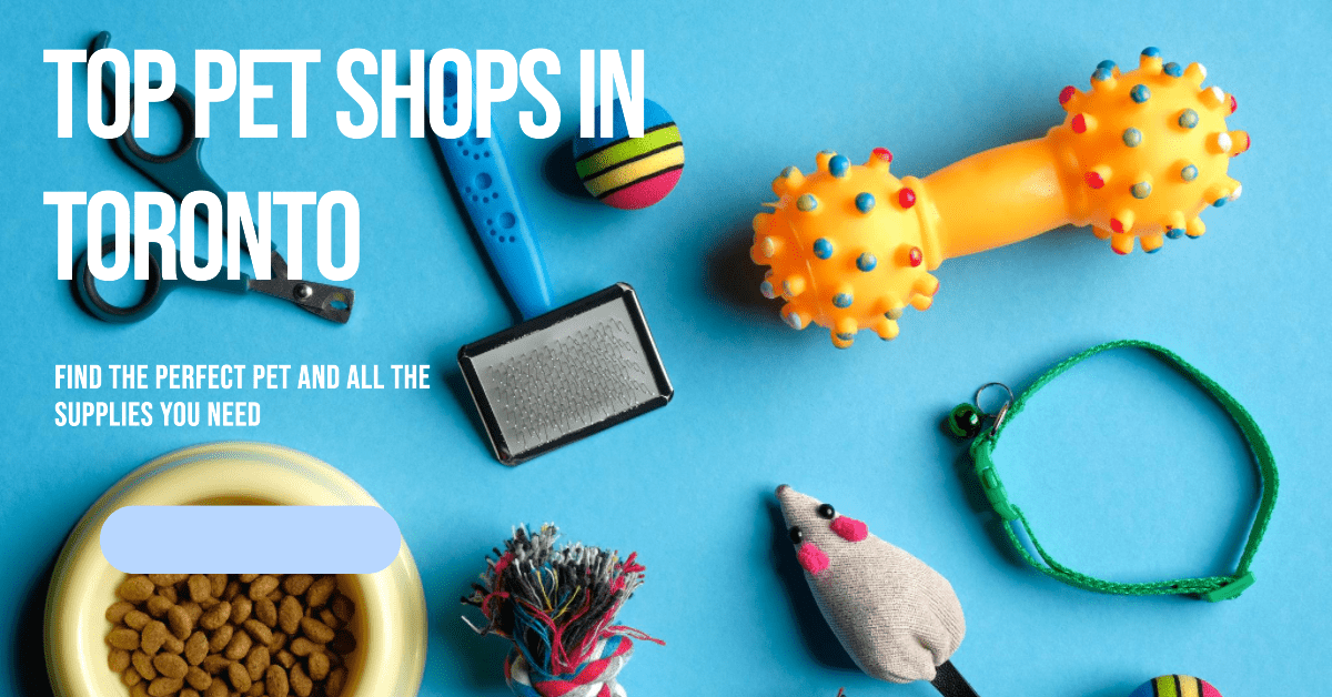 Best Pet Shops In Toronto (2026)