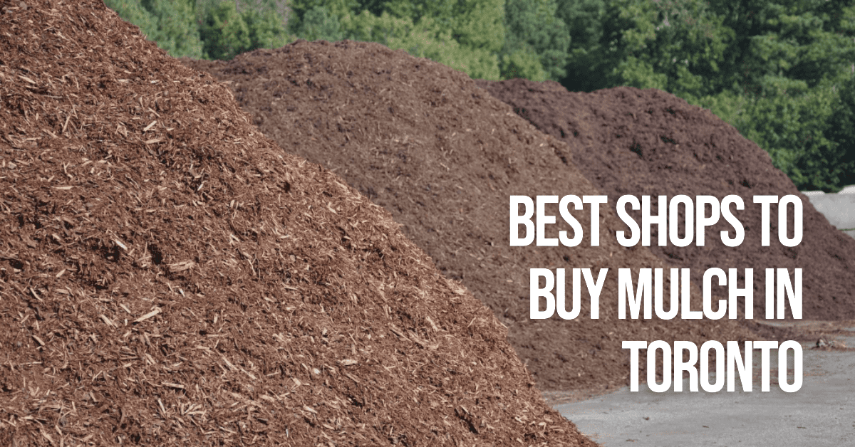 Best Shops To Buy Mulch In Toronto (2026)
