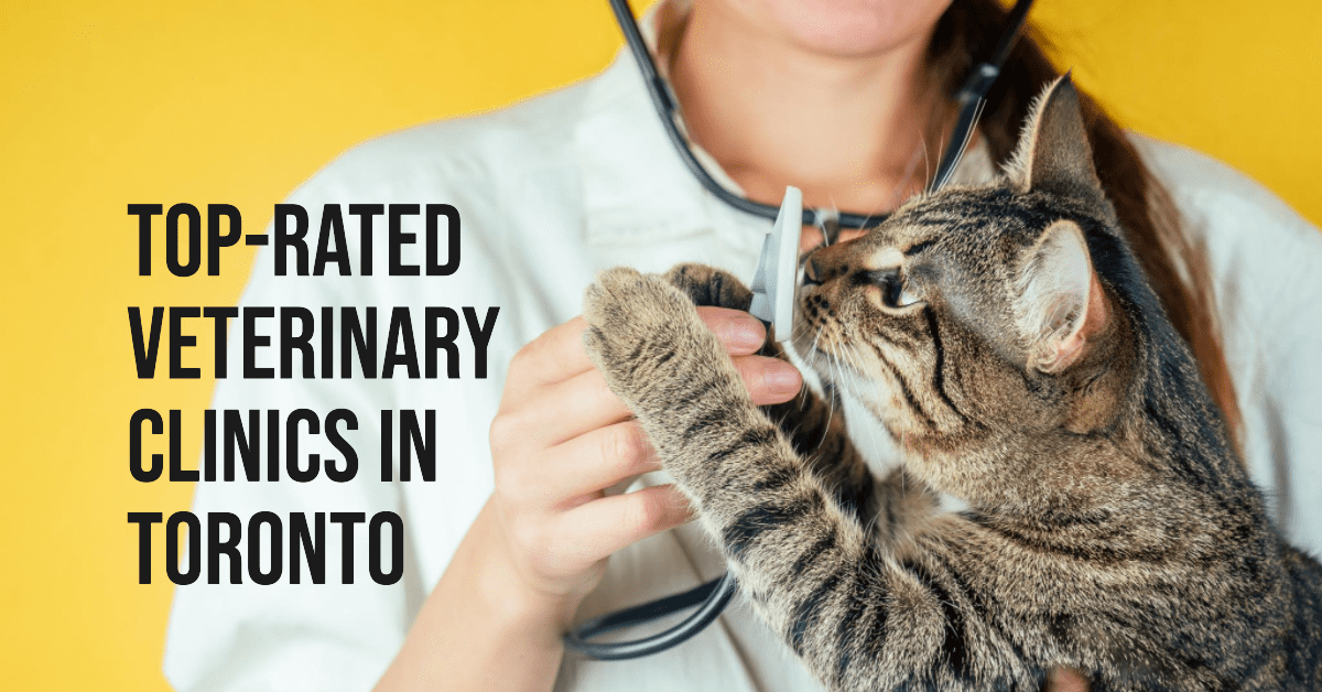 Best Veterinary Clinics In Toronto (2026)