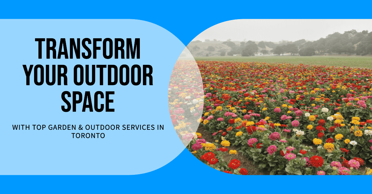 Garden And Outdoor