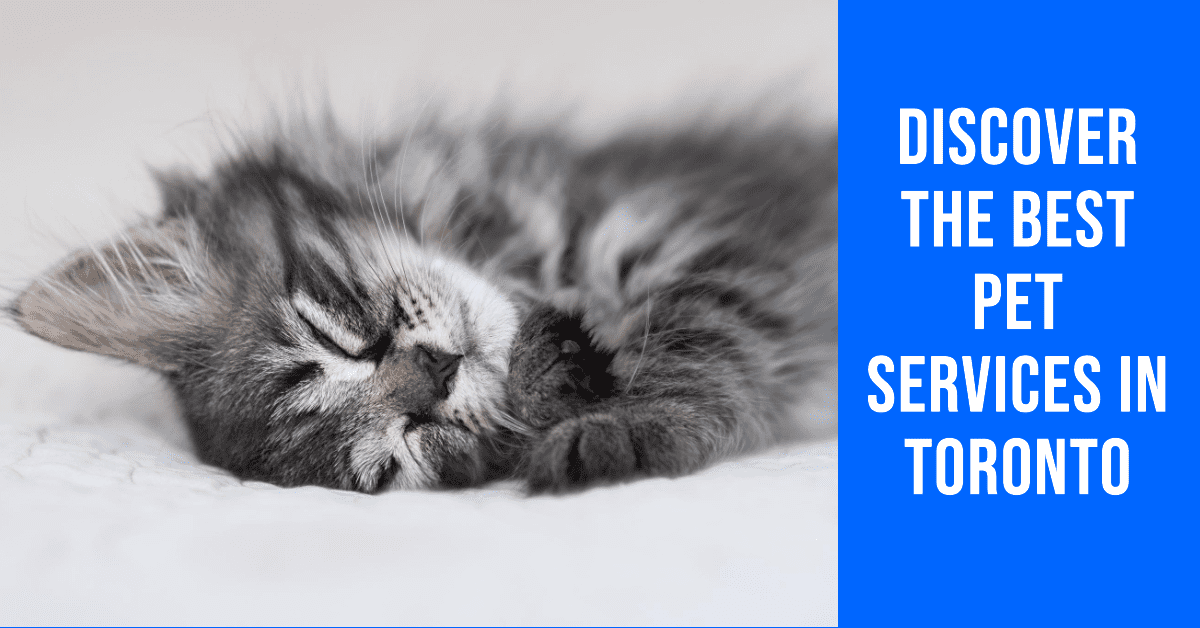 Pet Services