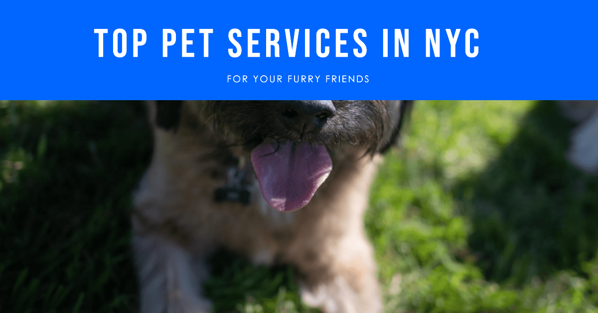 Pet Services