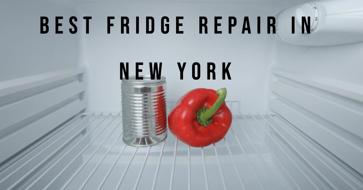 Best Fridge Repair In New York (2026)