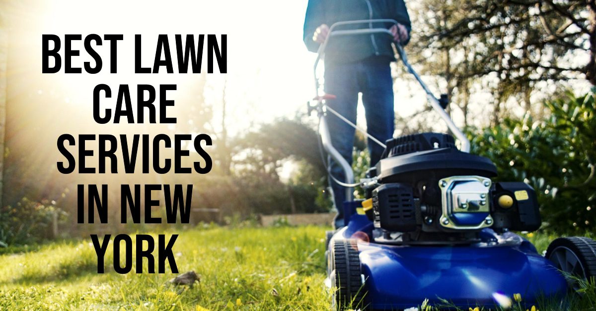 Best Lawn Care Services In New York (2026)