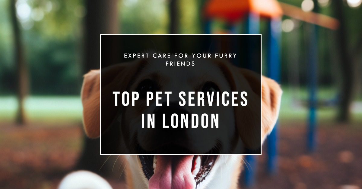 Pet Services