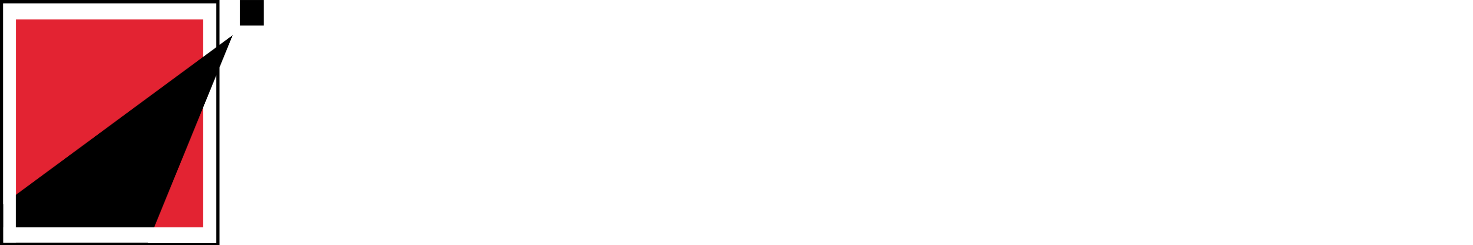 LightSpeed Express Delivery Systems, LLC logo