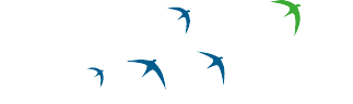 First Migration logo