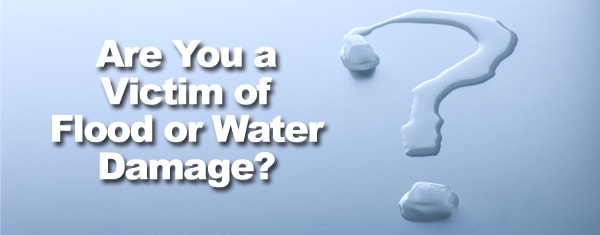 Water Damage logo