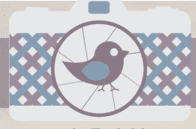 AE Newborn and Baby Photographer logo