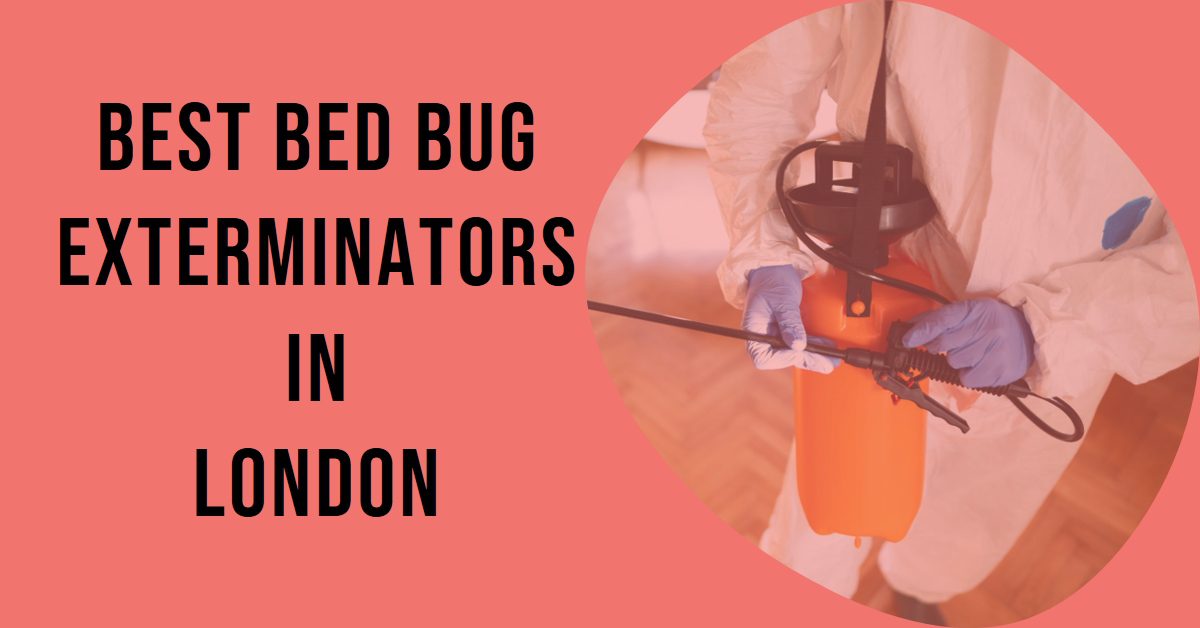 Best Bed Bug Exterminators In London (2026)