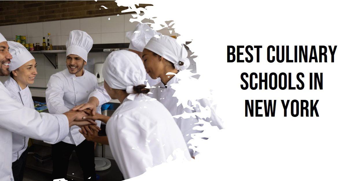 Best Culinary Schools In New York (2026)