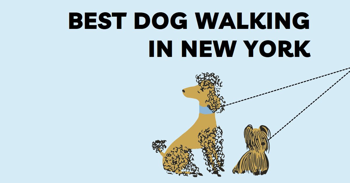 Best Dog Walking In New York (2026)