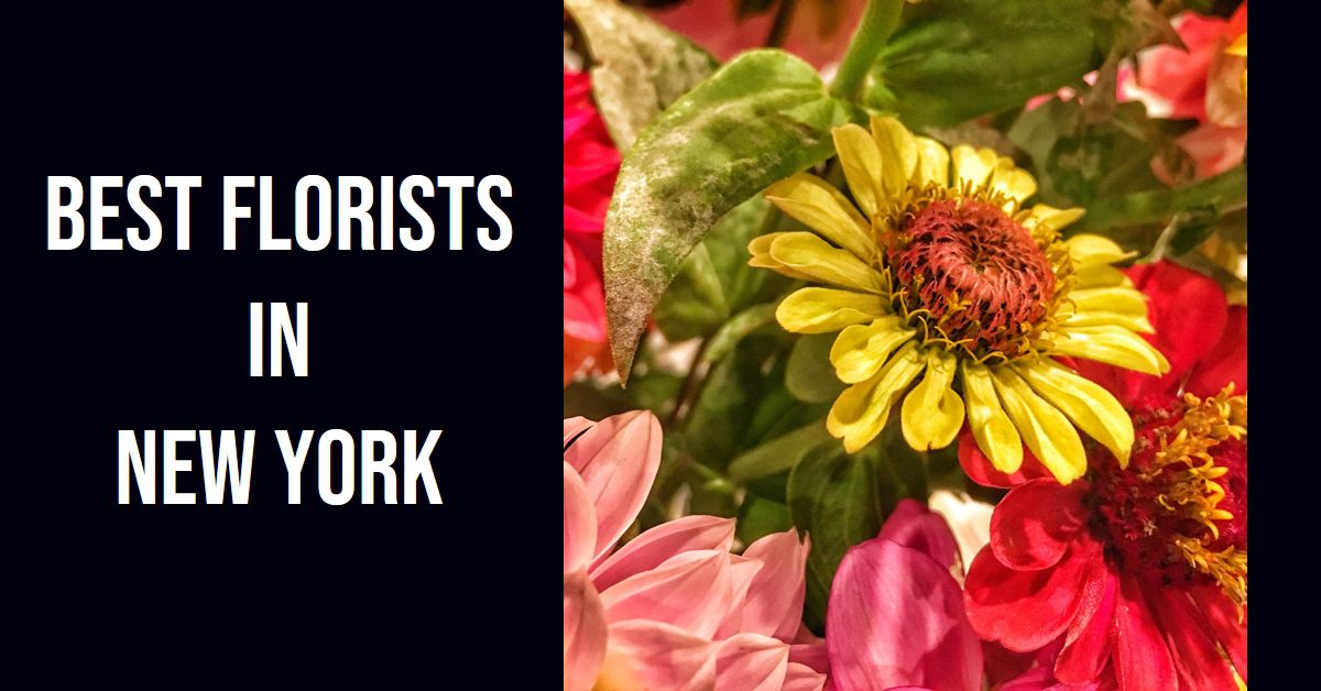 Best Florists In New York (2026)