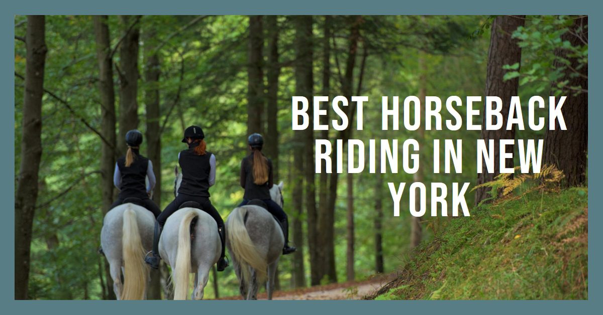 Best Horseback Riding In New York (2026)