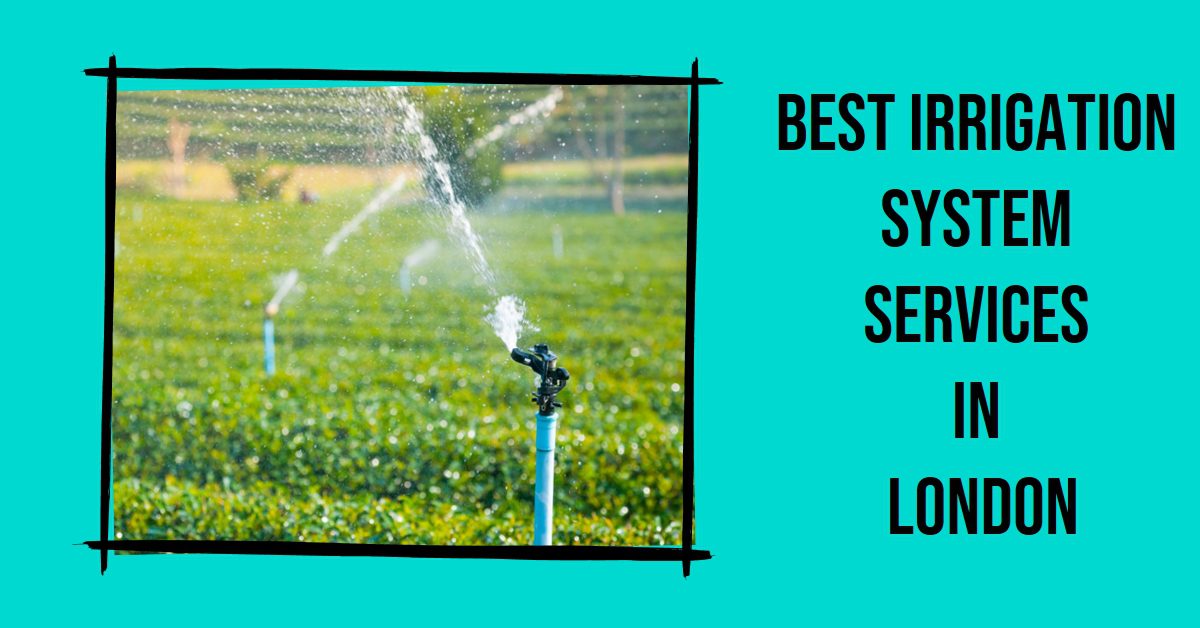 Best Irrigation System Services In London (2026)