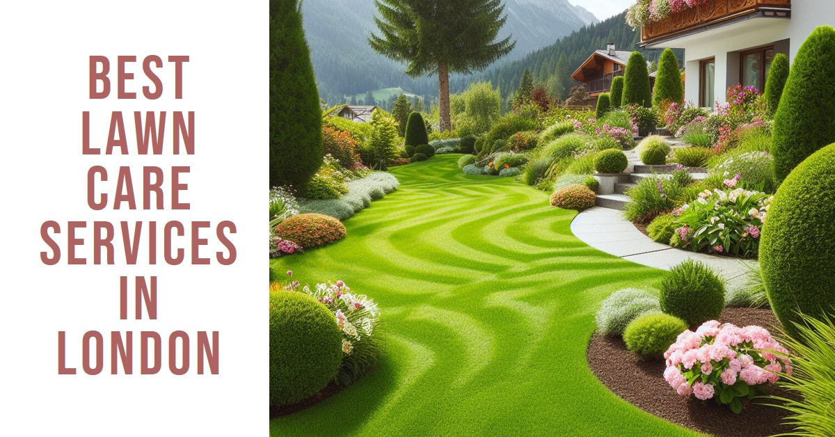 Best Lawn Care Services In London (2026)