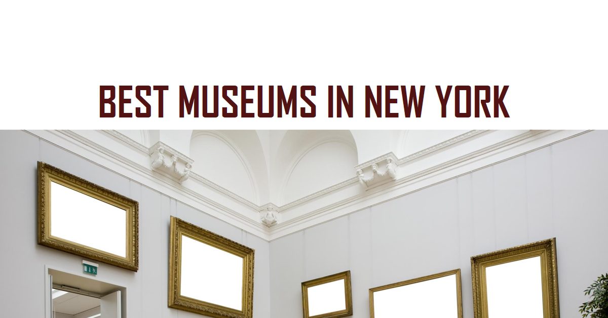 Best Museums In New York (2026)