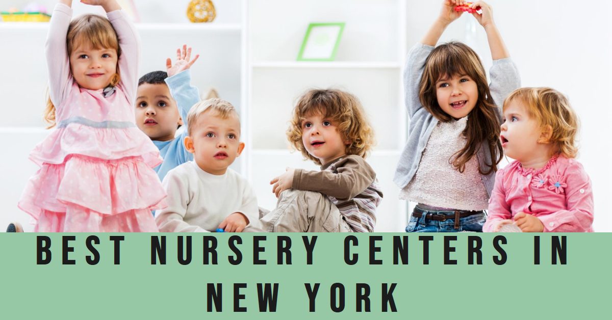 Best Nursery Centers In New York (2026)