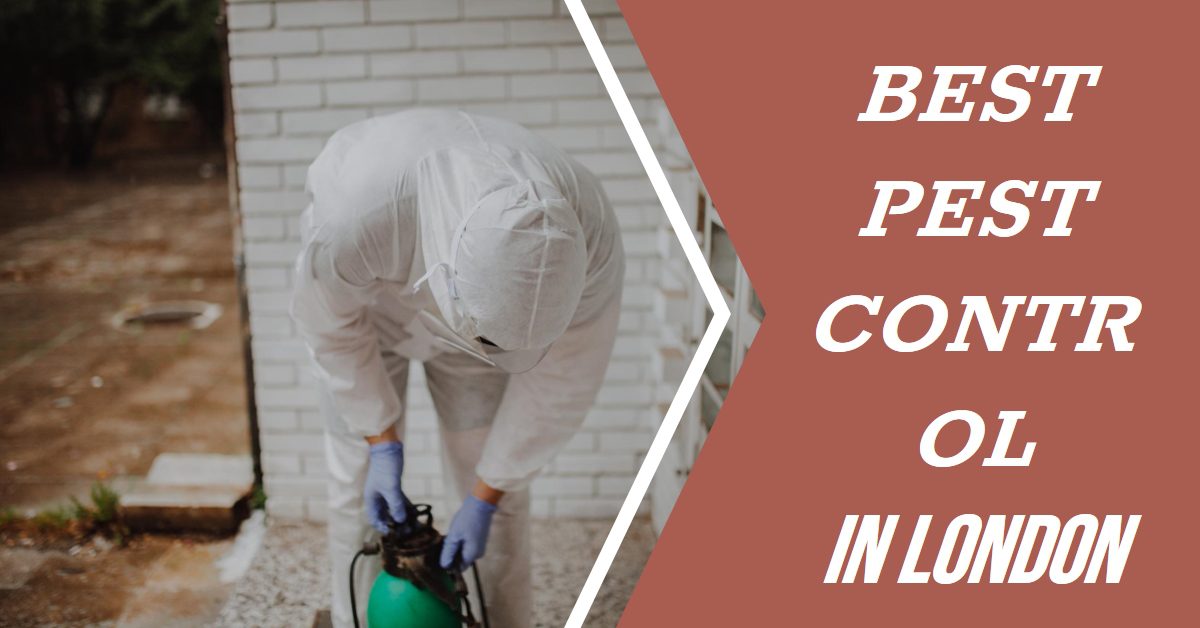Best Pest Control In London (2026)