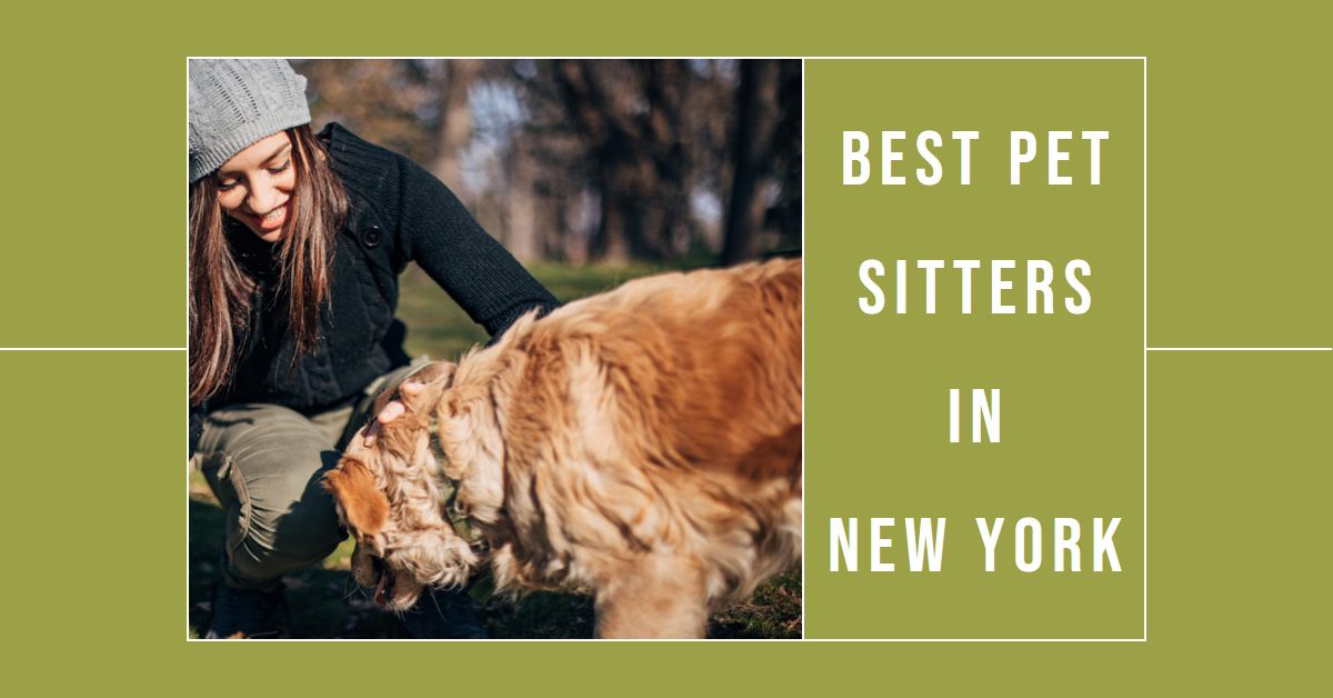 Best Pet Sitters In New York (2026)