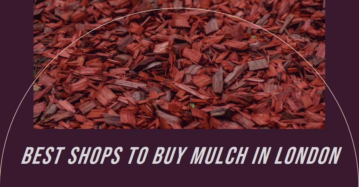 Best Shops To Buy Mulch In London (2026)