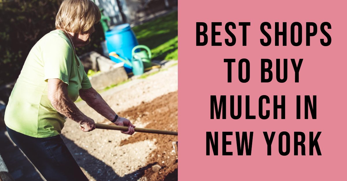 Best Shops To Buy Mulch In New York (2026)