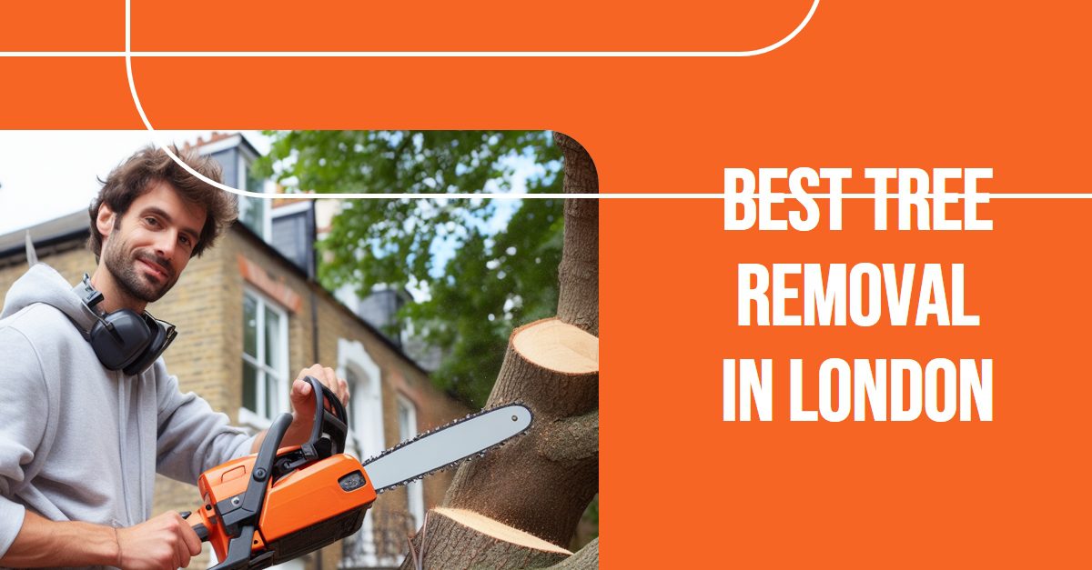 Best Tree Removal In London (2026)