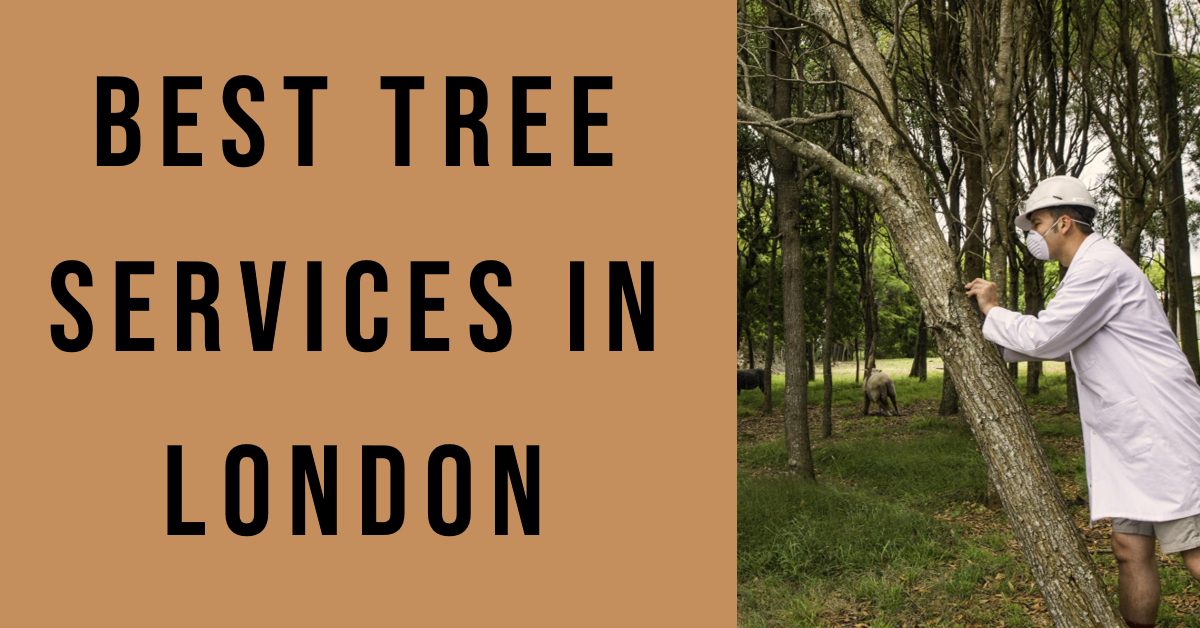 Best Tree Services In London (2026)