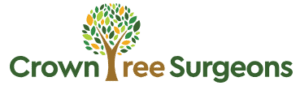 Review Scores: logo