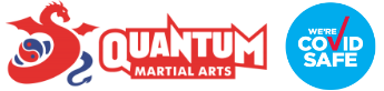 Quantum Martial Arts North Sydney logo