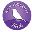 Ace Colony Birds logo