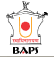 BAPS Shri Swaminarayan Hindu Mandir, Sydney logo