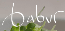 Babur logo