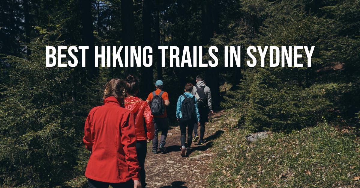 Best Hiking Trails In Sydney (2026)