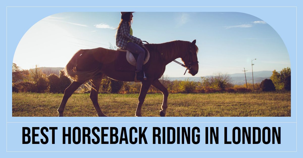 Best Horseback Riding In London (2026)