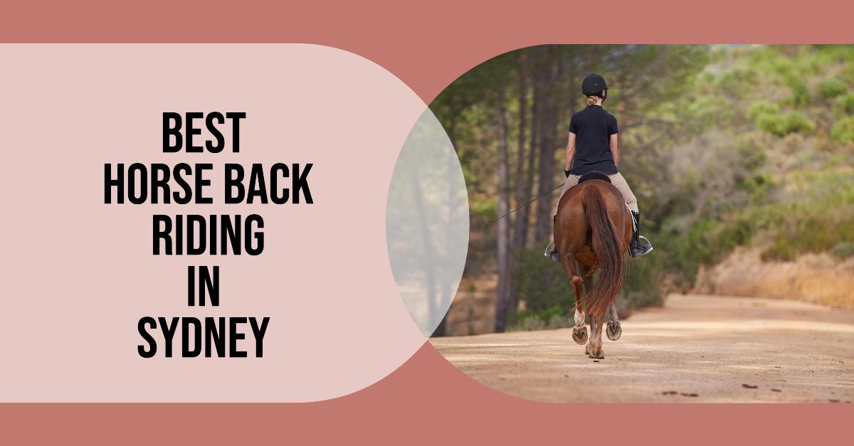 Best Horseback Riding In Sydney (2026)