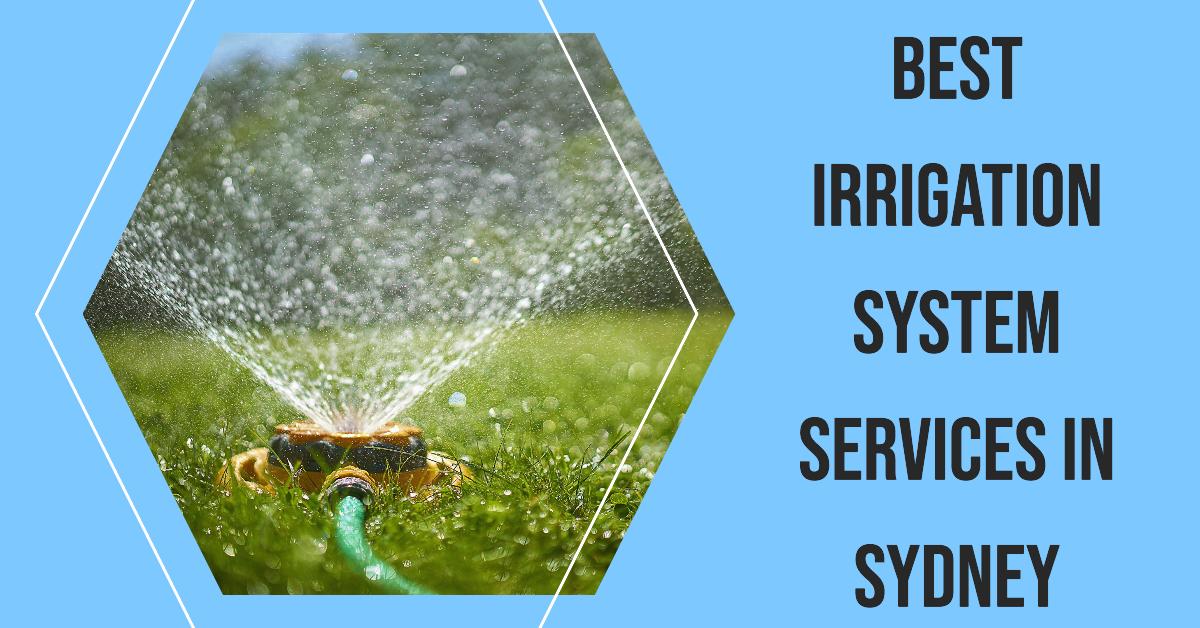 Best Irrigation System Services In Sydney (2026)