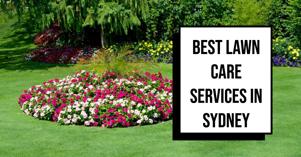 Best Lawn Care Services In Sydney (2026)