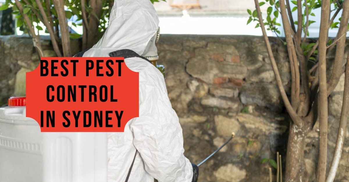 Best Pest Control In Sydney (2026)